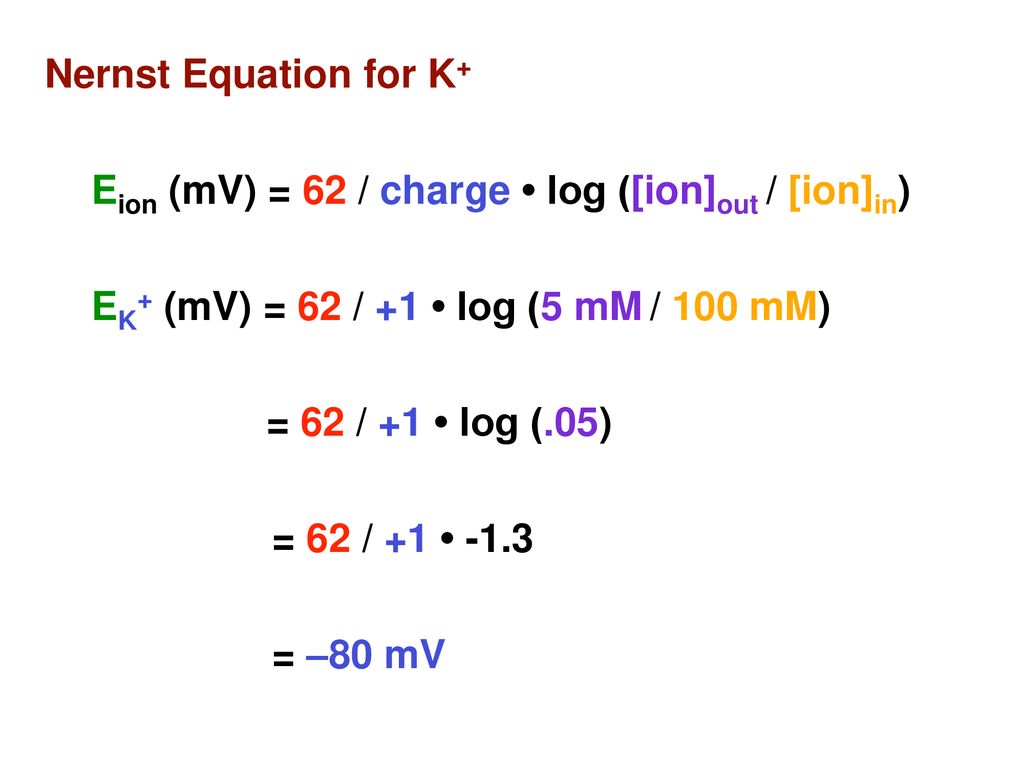 Resting membrane potential vm or rmp ppt download